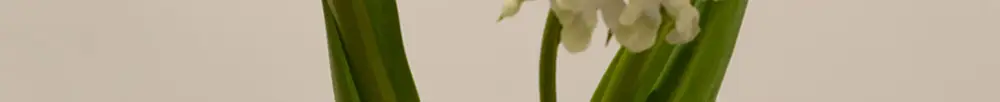 [NO.1 미스트세럼] 달바 퍼스트 스프레이 세럼 100ml 2개 기획 상세페이지 4
